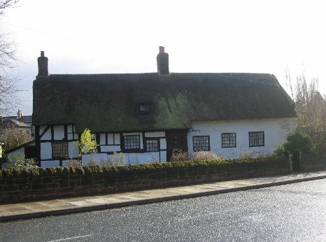 The Thatch