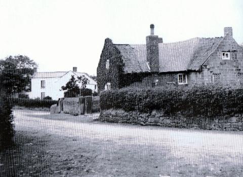Ivy Farm 1898