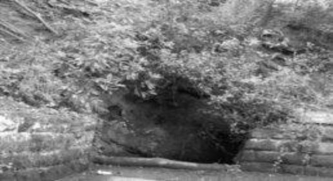 St Patricks Well