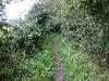 The path narrows as you near the stones