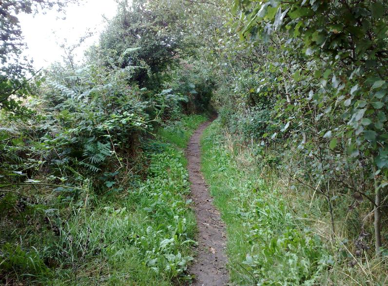 The path narrows as you near the stones