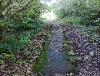 The stone path 3
