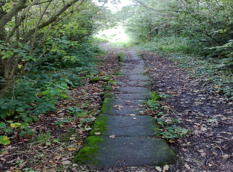 The stone path 3