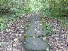 The stone path 4