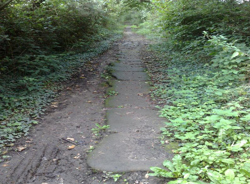 The stone path 5