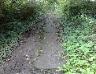 The stone path 5