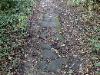 The stone path 1