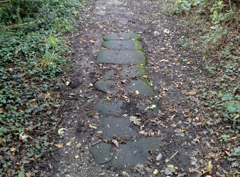 The stone path 1