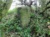 The 2nd stone anomolie