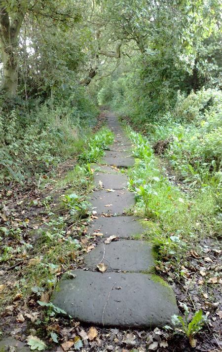 The Stone Path in 2008