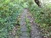 The stone path 2