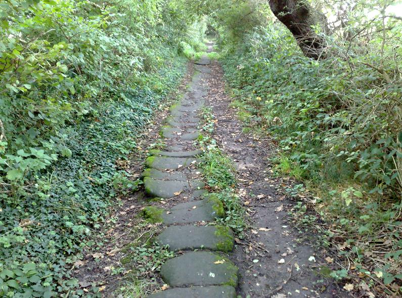 The stone path 2