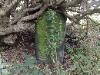 The 1st stone anomolie