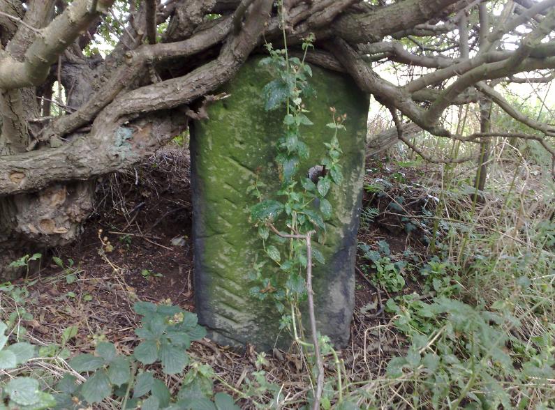 The 1st stone anomolie