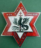 The Cleaver Sanitorium Nurses Badge
