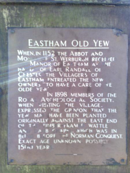 Yew Tree Plaque