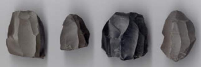 Worked chert from the Greasby site that was brought from North Wales