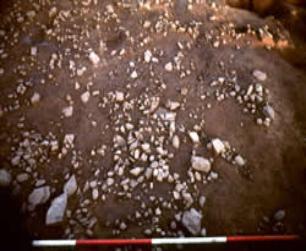 Stones from a partly damaged Mesolithic fireplace or hearth at Greasby.
