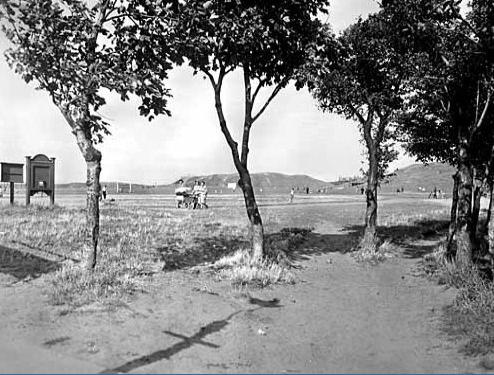 Harrison Park 1946