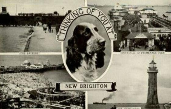 Postcard from 1952