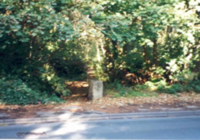 Doctor Stoops Stone