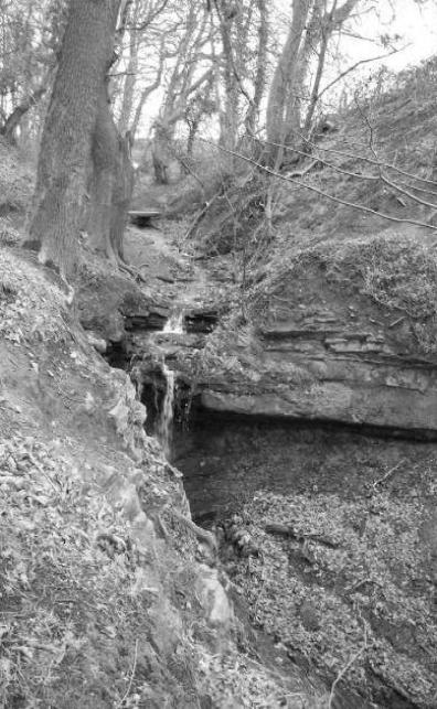 Waterfall in the Dungeon